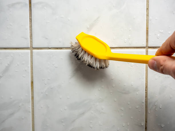 Best Best Mold Removal Companies  in Bayou Gauche, LA