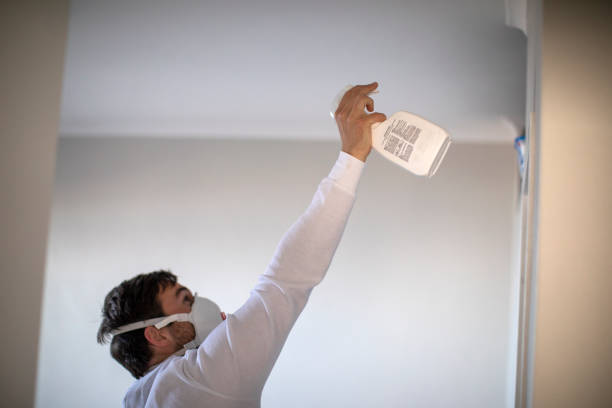 Best Black Mold Removal  in Bayou Gauche, LA