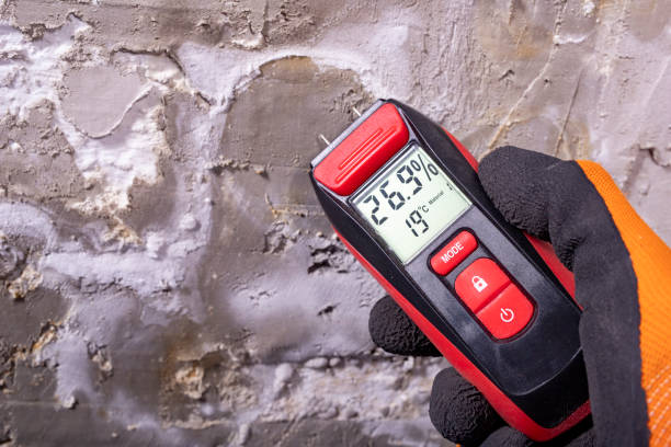 Best Black Mold Removal  in Bayou Gauche, LA