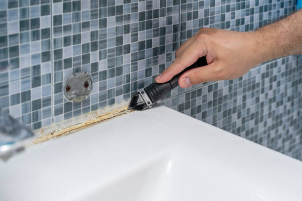 Best Mold Remediation  in Bayou Gauche, LA