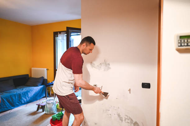 Best Commercial Mold Removal  in Bayou Gauche, LA