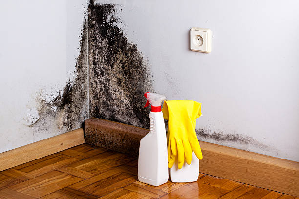 Crawl Space Mold Removal in Bayou Gauche, LA