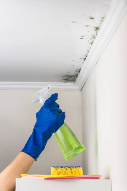 Best Mold Testing  in Bayou Gauche, LA